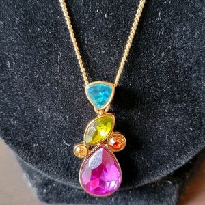 Multi Colored Necklace